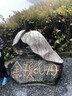 多芬（Dove） 160ml洗面奶 慕斯泡泡潔面乳 清潔肌膚敏感肌適用 控油凈澈 160ml *2瓶【控油】 多芬 曬單實(shí)拍圖