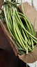 山東新鮮長(cháng)蒜苔生鮮蔬菜農家自種現摘蒜苔產(chǎn)地直發(fā) 新鮮長(cháng)蒜苔毛重  2斤 曬單實(shí)拍圖