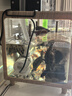 水族時(shí)光15W變頻水泵藍牙智控魚(yú)缸潛水泵小型底吸水陸兩用循環(huán)泵 曬單實(shí)拍圖