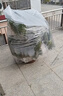 悠梵萌植物防寒保暖罩綠植保溫袋透明塑料膜冬天防凍保護罩1.8m*2m2個(gè)裝 曬單實(shí)拍圖