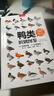 （贈鳥(niǎo)類(lèi)貼紙）中國國家地理鴨類(lèi)識別圖鑒 54種鴨類(lèi)的“全羽衣”圖鑒 【日】氏原巨雄 【日】氏原道昭 著(zhù) 曬單實(shí)拍圖