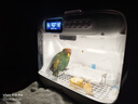 怪獸盒子希格爾鸚鵡保溫箱智能風(fēng)暖雙重溫控活氧寵物恒溫箱 希格爾鸚鵡智能保溫箱 曬單實(shí)拍圖