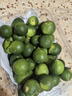 果齋園 海南小青金桔 新鮮金桔 當季新鮮青桔青橘水果酸桔酸爽皮薄多汁 1斤裝 發(fā)圓通 曬單實(shí)拍圖