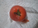 自然熟西紅柿約500g 曬單實(shí)拍圖