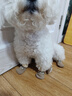 嬉皮狗（hipidog）寵物襪子泰迪博美中小型犬防滑防抓防臟襪子四只裝狗鞋小狗狗襪子 洛米棕（笑臉熊） L （建議體重10斤內） 曬單實(shí)拍圖