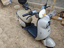 金箭電動(dòng)摩托車(chē) 【人氣爆款】靈彩60V20AH鉛酸電池長(cháng)續航800W大動(dòng)力踏板女電動(dòng)輕便摩托車(chē)電動(dòng)車(chē)獨角獸 曬單實(shí)拍圖