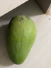 味果生爆甜大青芒應當季新鮮熱帶水果廣西甜心芒青皮大芒果整箱 9斤 特大果【400-500g】 曬單實(shí)拍圖
