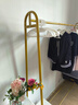 衣架落地臥室家用房間內衣帽架置物晾衣架簡(jiǎn)易桿式收納掛衣服架子 輕奢金-80*150【加粗加厚22管】 曬單實(shí)拍圖