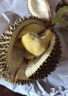 京地達馬來(lái)西亞貓山王榴蓮d197凈重4斤液氮榴蓮水果源頭直發(fā)包郵 曬單實(shí)拍圖