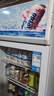 榮事達（Royalstar）288升單門(mén)展示柜 商用冷藏冰箱 冷柜超市飲料啤酒保鮮柜 大容量立式冷柜 LSC-288 曬單實(shí)拍圖