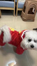 阿莫爾貓咪衣服喜慶紅色獅子連帽衣秋冬季保暖銀漸層布偶寵物狗狗四腳衣 新年喜慶紅獅 S【建議3-5斤 具體參考胸圍背長(cháng)】 曬單實(shí)拍圖