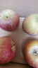 新疆阿克蘇冰糖心蘋(píng)果整箱批發(fā)新鮮生鮮當季水果皮薄肉厚無(wú)渣脆甜 【帶箱5斤】70-80mm【香甜多汁】 曬單實(shí)拍圖