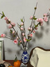 生喜朗桃花仿真花客廳餐桌裝飾招桃花運擺設干花插花場(chǎng)景布置舞蹈道具 曬單實(shí)拍圖