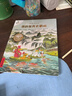 不一樣的卡梅拉手繪本（第17~20冊）4冊 我的東方大冒險 我要保護家園  我收留了渡渡鳥(niǎo) 我決不退讓  兒童幼兒動(dòng)漫繪本小學(xué)生課外書(shū)圖書(shū)睡前讀物故事書(shū)3-6-12歲童書(shū)節兒童節 二十一世紀出版社 不 曬單實(shí)拍圖