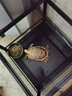 寸金陸地龜糧飼料蘇卡達紅腿輻射星龜豹龜緬甸龜飼料 干旱型陸地龜糧 2.5kg(大小龜都能吃) 曬單實拍圖