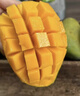 余悅海南金煌芒【多地次日達】新鮮現摘青皮水仙大芒果甜心芒送禮整箱 帶箱5斤【單果200-250g丨凈4.5斤】精選裝 曬單實(shí)拍圖