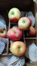【現摘】正宗洛川蘋(píng)果當季新鮮水果孕婦脆甜紅富士蘋(píng)果冰糖心水果 帶箱5斤膜袋富士70-80mm中果 曬單實(shí)拍圖