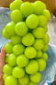 京覓四川無(wú)籽克倫生紅提 凈重3斤 新鮮葡萄水果水晶無(wú)籽葡萄 源頭直發(fā) 曬單實(shí)拍圖