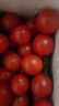 京鮮生 山東普羅旺斯西紅柿 凈重3斤 單果125g起 沙瓢番茄 源頭直發(fā) 曬單實(shí)拍圖
