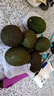 晟容果蔬哈斯牛油果秘魯進(jìn)口【閃送】當季孟連鱷梨嬰兒輔食應季新鮮水果 【奶酪級】稀有果王丨約180-200g 6枚【熱銷(xiāo)-超值推薦】普裝 曬單實(shí)拍圖