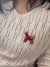 伊黛兒本命年生肖紅色小馬駒胸針高端女氣質(zhì)時(shí)尚別針創(chuàng  )意胸花衣服裝飾品 XZ0639紅色小馬胸針 曬單實(shí)拍圖