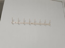 掛衣架墻上壁掛掛衣鉤掛鉤門(mén)后免打孔進(jìn)門(mén)玄關(guān)太空鋁衣帽鉤粘膠 【大鳳尾排鉤8鉤】奶白 曬單實(shí)拍圖