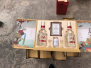 五糧春二代【馬年限定酒廠(chǎng)直營(yíng)】駿馬迎春生肖禮盒 春節送禮濃香型白酒 52度 588mL 2瓶 禮盒裝 曬單實(shí)拍圖