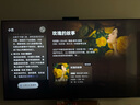 華為Vision智慧屏 5 SE 鴻蒙AI搜片 MiniLED 一級能效 投屏好搭檔 平板電視機 75英寸 曬單實(shí)拍圖