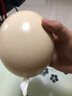 九萬(wàn)鵬新鮮鴕鳥(niǎo)蛋凈重2.8-3斤一枚送禮盒底座巨無(wú)霸禽蛋源頭直發(fā)包郵 曬單實(shí)拍圖