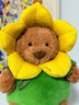 Jellycat巴塞羅熊水仙花裝毛絨玩具玩偶娃娃禮物2026春夏新品情人節禮物 巴塞羅熊水仙花裝 Medium 曬單實(shí)拍圖