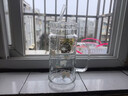炊大皇（COOKER KING）加厚高硼硅玻璃杯耐冷熱泡果茶防爆防燙夏季大容量吸管杯涼水壺 萌小綠【加厚高硼硅】1.08L 曬單實(shí)拍圖