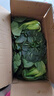 喬誠蘇北農家露天新鮮霜凍大青菜油菜上海青蘇州青時(shí)令蔬菜燙火鍋現摘 5斤 曬單實(shí)拍圖