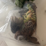 多肉植物盆栽組合多肉桃蛋玉露紅寶石綠植花卉園藝盆栽 精選10顆不重復+10個(gè)黑盆送土 曬單實(shí)拍圖