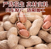 享食兔五香烤花生米山東特產(chǎn)脫紅皮花生油小包裝年貨休閑零食下酒菜50包 曬單實(shí)拍圖