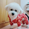 嬉皮狗（hipidog）新年喜慶小狗狗四腳棉衣秋冬寵物泰迪比熊馬爾濟斯小型犬冬季衣服 德羅紅龍紋 L （建議體重8-11斤） 曬單實(shí)拍圖