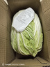 山東霜打黃心大白菜新鮮超市品質(zhì)采摘地里現拔農家自種 大白菜5斤-5.5斤 曬單實(shí)拍圖