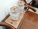 茶皇子（CHAHUANGZI）底部全自動(dòng)上水電熱燒水壺泡茶專(zhuān)用玻璃茶臺電茶壺茶桌嵌入式一體 XH-T5N 1L ZC2-M（煮茶款） 曬單實(shí)拍圖