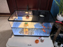 闊庭（KUOTING）魚(yú)缸水族箱生態(tài)桌面魚(yú)缸新款懶人魚(yú)缸過(guò)濾制氧一體黑色【特大號】 曬單實(shí)拍圖