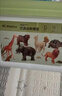 紐奇兒童玩具仿真動(dòng)物模型小兔子男女孩野生動(dòng)物世界認知卡片套裝  曬單實(shí)拍圖