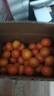 廣西沃柑花果當季沙糖蜜橘柑橘砂糖橘子桔子新鮮整箱水果批發(fā) 廣西武鳴沃柑帶箱9斤單果55mm+ 曬單實(shí)拍圖