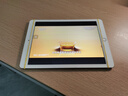 菲耐德【冠軍代言】iPad電池大容量蘋(píng)果平板電腦2018/2020年款迷你Pro/Air/mini電板更換維修換新 iPad Air2電池-A1566/A1567型號 曬單實(shí)拍圖