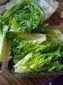 葉菜拼盤(pán)500g(菠菜葉+蒿子稈+生菜葉+娃娃菜) 曬單實(shí)拍圖
