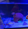 瘋狂水草陶罐海螺貝殼白沙魚(yú)缸造景擺件裝飾全套適合米家魚(yú)缸造景套餐一體 曬單實(shí)拍圖