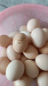 農家散養谷物土雞蛋50±5克/枚 30枚 曬單實(shí)拍圖