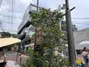 亞瑟士童裝冬季新款男女兒童三防科技羽絨馬甲 黃綠色 清潔度1000-白鴨絨 150 cm 充絨量37g 曬單實拍圖