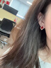 Lnieer999銀針紅色四葉草耳釘女輕奢高級感耳環(huán)無(wú)耳洞耳夾2026新款耳飾 紅色四葉草耳釘【999足銀針】 曬單實(shí)拍圖