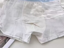 貓人男童內褲兒童純棉a類(lèi)平角褲男孩寶寶發(fā)育期小學(xué)生中大童四角短褲 3條：本白大布條紋+淺蘭側邊漢堡+本白前中漢堡.jpg 110 【推薦20-30斤】 曬單實(shí)拍圖