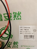 齊魯安然 汽車(chē)應急啟動(dòng)線(xiàn) 電瓶充電線(xiàn)純銅打火線(xiàn)2.5平方電源線(xiàn)正負極線(xiàn)長(cháng)0.6米鍍銅鱷魚(yú)夾 曬單實(shí)拍圖