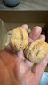 知嘗新貨陜西秦嶺山生山核桃老品種油香核桃老樹(shù)薄皮孕婦核桃原味清香 野生山核桃【5斤】精選大果帶夾子 曬單實(shí)拍圖
