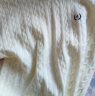 gxgjeans男裝 多色基礎刺繡絞花保暖圓領(lǐng)毛衣針織衫男25年冬新品 米白 L (175) 曬單實(shí)拍圖